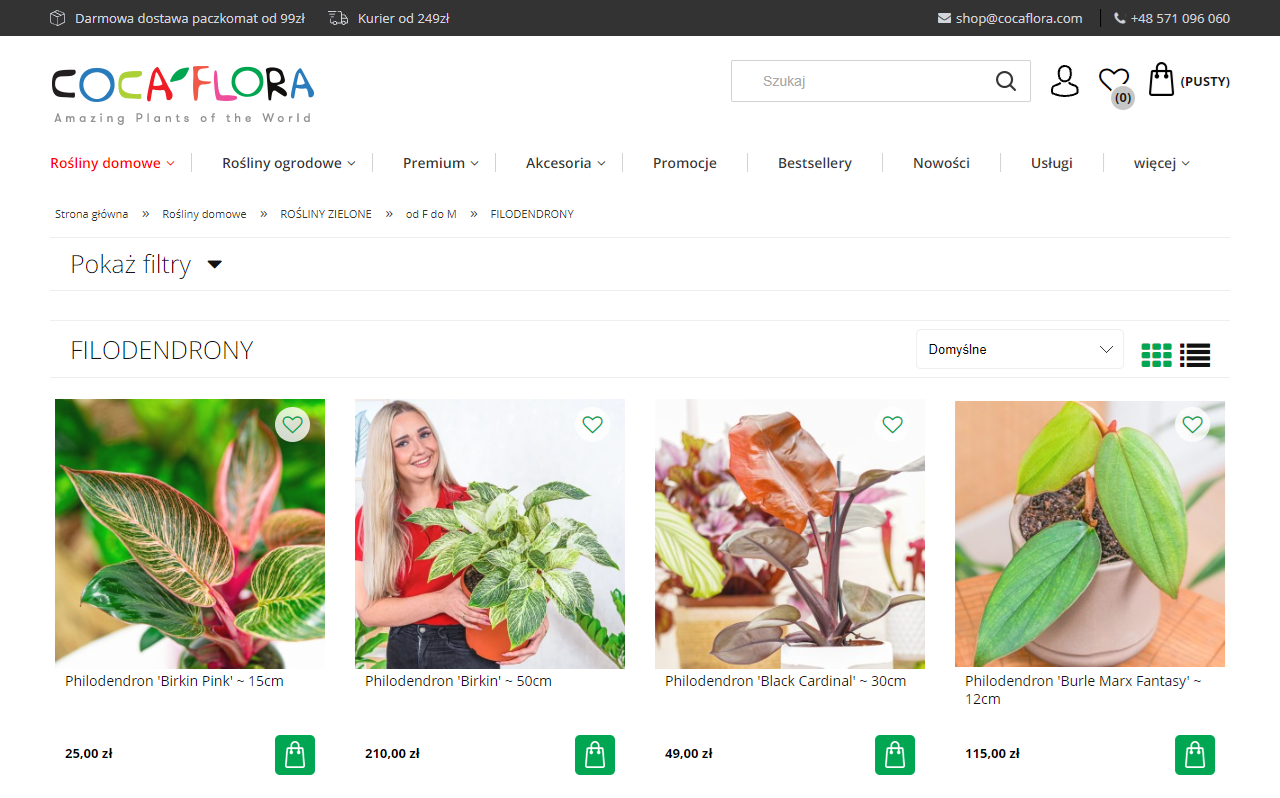 Filodendrony w domu – jak dopasować roślinę do stylu wnętrza?